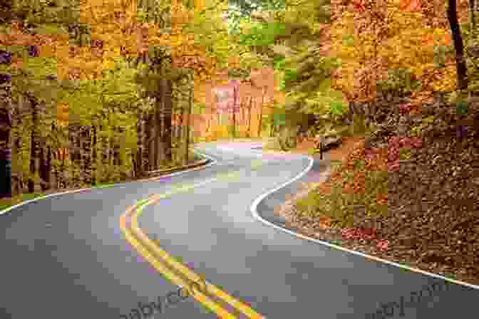 A Panoramic View Of A Winding Road Cutting Through A Picturesque Canadian Landscape Extreme Frontiers: Racing Across Canada From Newfoundland To The Rockies