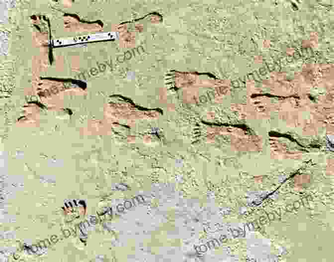 A Set Of Large, Humanoid Footprints In Soft Earth The Sasquatch At Home: Traditional Protocols Modern Storytelling (The Henry Kreisel Memorial Lecture Series)