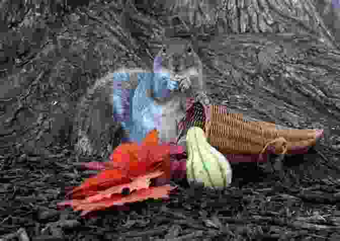 A Young Girl And Her Squirrel Friend Celebrate Thanksgiving Together Pearl And Squirrel Give Thanks