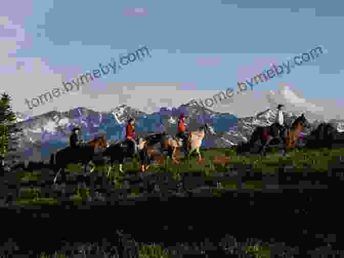 A Young Woman On Horseback, Riding Through A Meadow In The Cariboo Chilcotin Region Of British Columbia. Drugstore Cowgirl: Adventures In The Cariboo Chilcotin