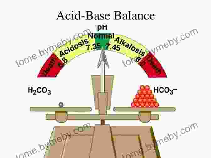 Acid Base Balance Diagram NCLEX: Fluids Electrolytes Acid Base DisFree Downloads: 105 Nursing Practice Questions Rationales To Absolutely Crush The NCLEX (Nursing Review Questions NCLEX RN Trainer Test Success 20)