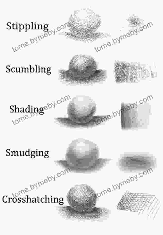 An Image Demonstrating The Different Types Of Pencil Strokes And Hatching Techniques Drawing Nature Create Pencil Drawings Of Nature With Fun: 150 Easy Drawing Ideas For Beginners And Kids (Drawing Plants And Flowers Bugs Mushrooms And More)