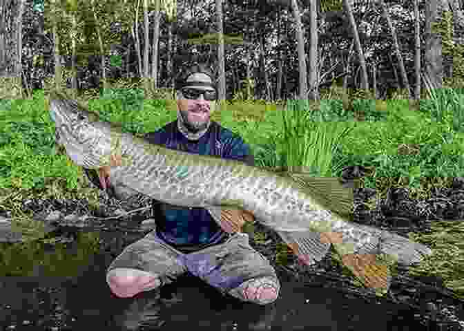 Angler Casting A Lure For Musky Fishing Pro Tactics: Muskie: Use The Secrets Of The Pros To Catch More And Bigger Muskies