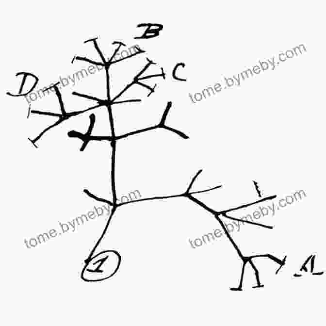 Darwin's Tree Of Life Sketch The Voyage Of The Beagle: The Illustrated Edition Of Charles Darwin S Travel Memoir And Field Journal