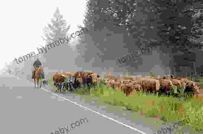 Emily Carr Herding Cattle In The Cariboo Chilcotin Region. Drugstore Cowgirl: Adventures In The Cariboo Chilcotin