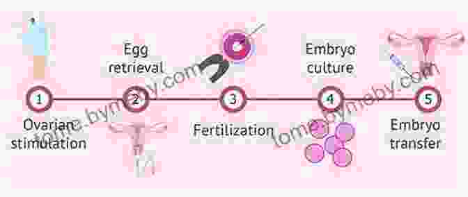 IVF And Surrogacy Journey: A Path To Parenthood With Savings A Practical Guide To IVF And Surrogacy In The US Or Canada While Saving Over $10 000