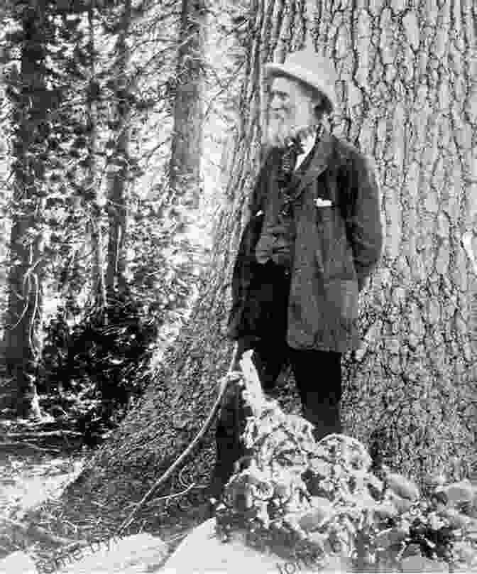 John Muir, Naturalist And Advocate For Wilderness Protection Heading Out: A History Of American Camping