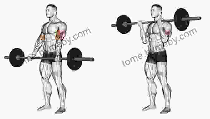 Man Performing A Barbell Curl With Proper Grip And Elbow Placement Bodybuilding Blackjack: 21 Easy To Follow Weight Lifting Basics For A Winning Physique