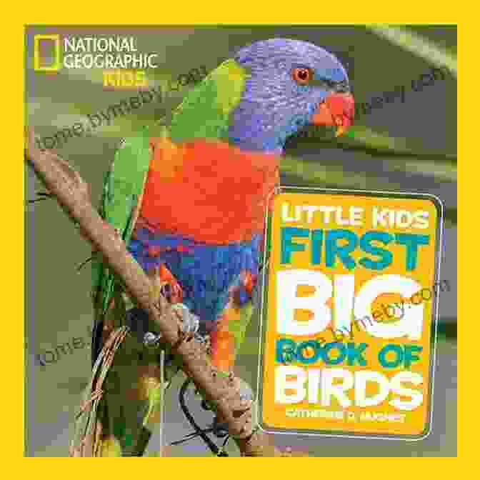 National Geographic Logo National Geographic Little Kids First Big Of Birds (Little Kids First Big Books)