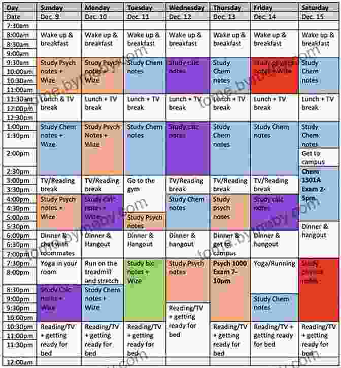 Student Creating A Schedule A Field Guide To Grad School: Uncovering The Hidden Curriculum (Skills For Scholars)