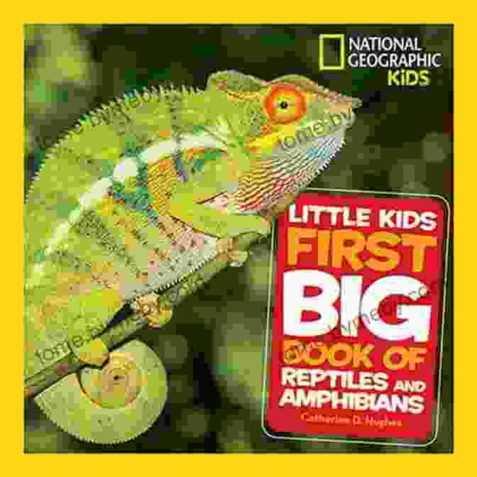 The Cover Of The Little Kids First Big Book Of Reptiles And Amphibians, Featuring A Colorful Array Of Reptiles And Amphibians Little Kids First Big Of Reptiles And Amphibians (Little Kids First Big Books)