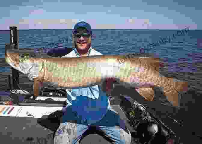 Trophy Sized Musky Caught By An Angler Pro Tactics: Muskie: Use The Secrets Of The Pros To Catch More And Bigger Muskies