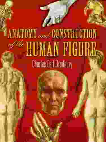 Anatomy And Construction Of The Human Figure (Dover Art Instruction)