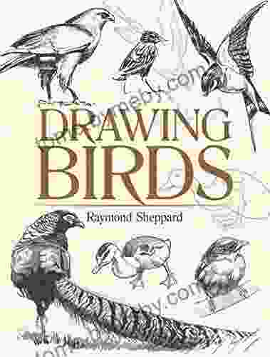 Drawing Birds (Dover Art Instruction)