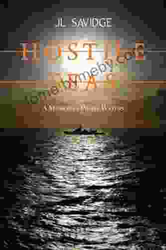 Hostile Seas: A Mission in Pirate Waters