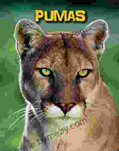 Pumas (Living In The Wild: Big Cats)