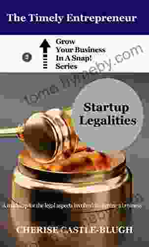 Startup Legalities: A Roadmap For The Legal Aspects Involved In Starting A Business (Grow Your Business In A Snap 3)