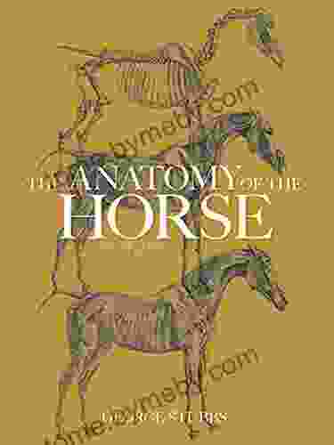 The Anatomy Of The Horse (Dover Anatomy For Artists)