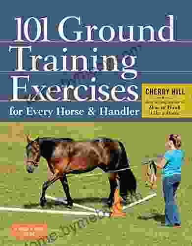 101 Ground Training Exercises For Every Horse Handler (Read Ride)